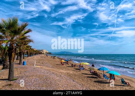 Oropesa del Mar Strand von Playa Morro de GOS mit Palmen Costa del Azahar, Spanien zwischen Benicassim und Marina D`Or Stockfoto